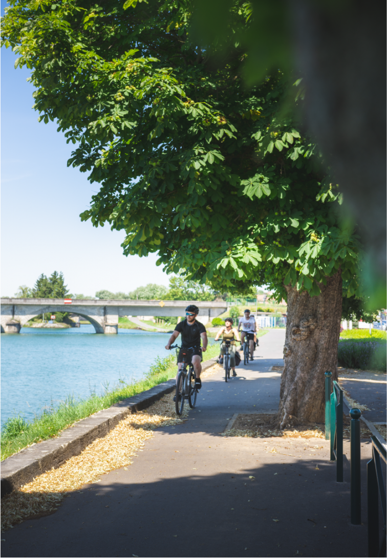 Location d'un Vélo à Assistance Électrique