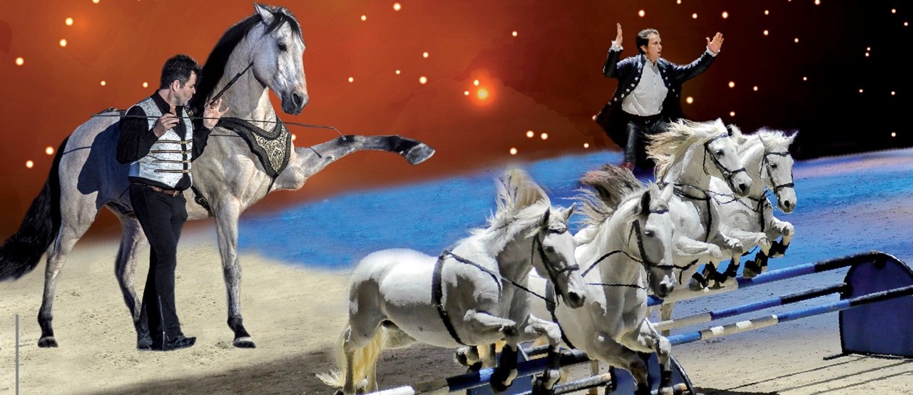 Hasta Luego et Lorenzo