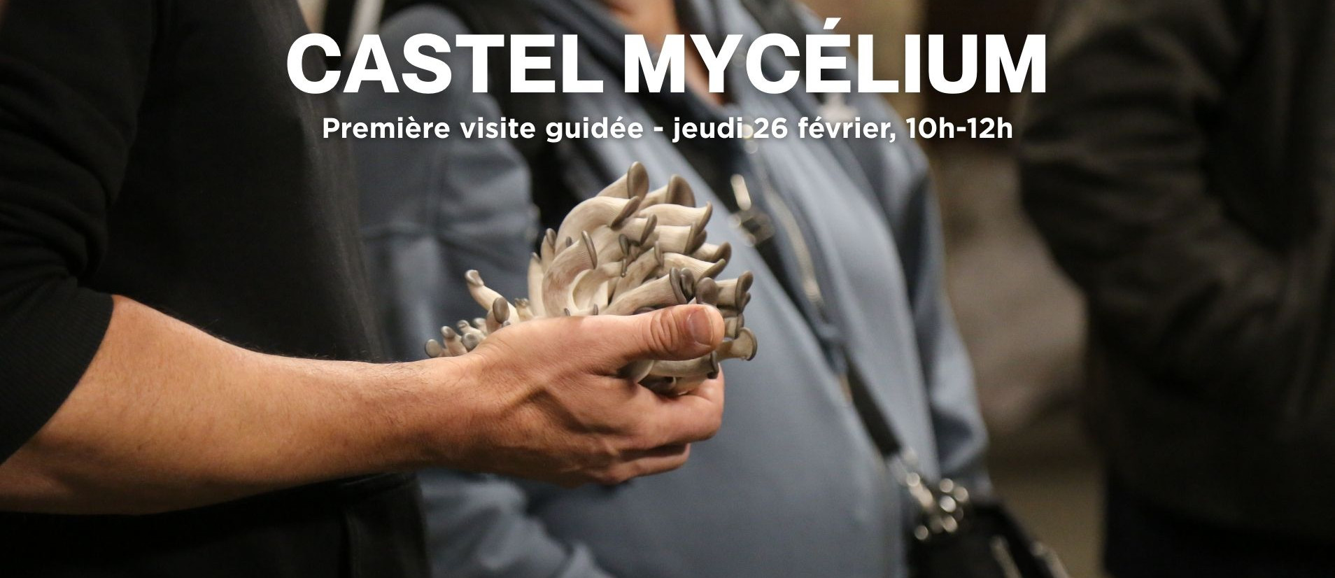 castel_26.02_banniere