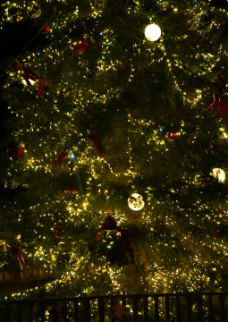 cest l fete pendans les fetes