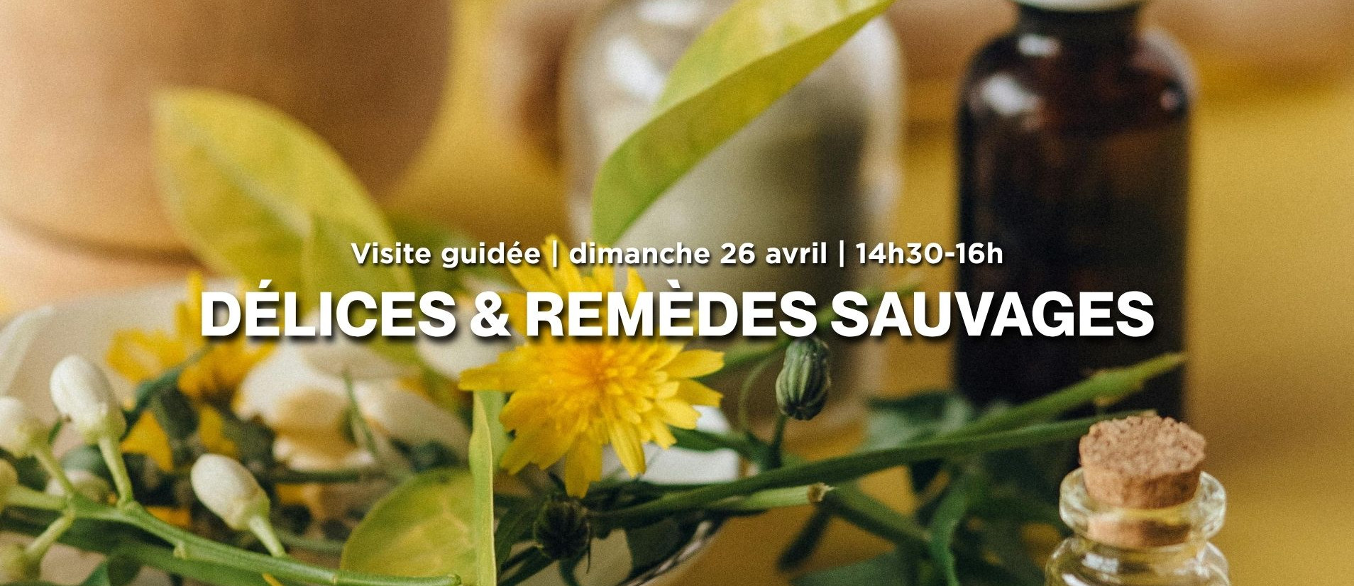 delices_remedes_ban