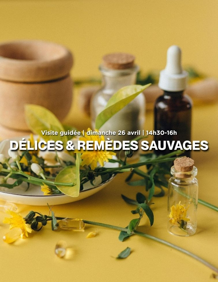 delices_remedes_slider