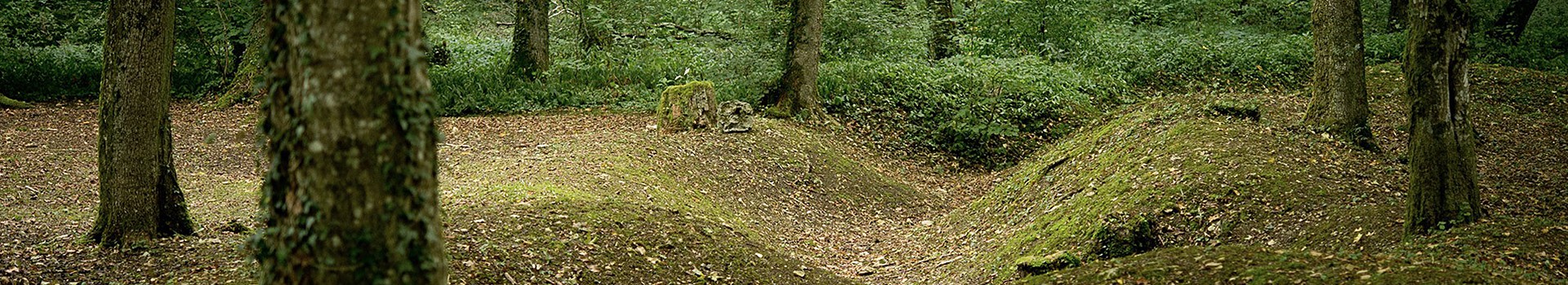 foret