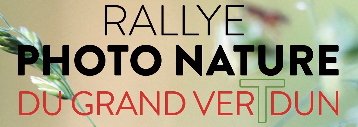 Rallye photo
